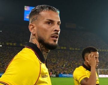 La nueva frase viral de Darío Benedetto: Mucha agua mata planta