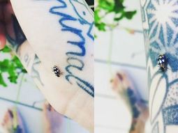 Candelaria Tinelli, recorrida por una vaquita de San Antonio Candelaria Tinelli, recorrida por una vaquita de San Antonio