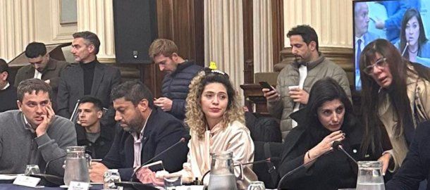 Revuelo con la diputada libertaria que fue a una sesión con el patito de moda en su cabeza