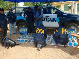 Procedimiento de la Policía Federal Argentina en Salta