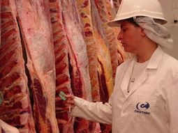 el sindicato de la carne anuncio que desde este lunes se trabajara a reglamento el sindicato de la carne anuncio que desde este lunes se trabajara a reglamento