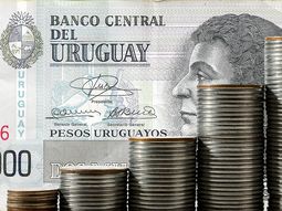 La inflación continuará dentro del rango meta en los próximos dos años, según el Banco Central del Uruguay. La inflación continuará dentro del rango meta en los próximos dos años, según el Banco Central del Uruguay.