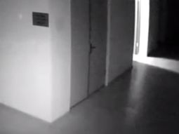 La extraña aparición que causó terror en una municipalidad La extraña aparición que causó terror en una municipalidad