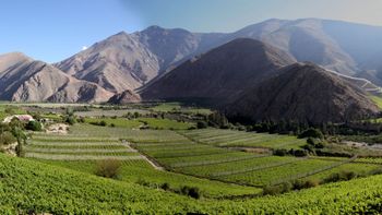 Pisco Elqui destaca por sus terapias alternativas. Pisco Elqui destaca por sus terapias alternativas.
