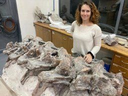 gran descubrimiento del conicet en chubut: que se sabe del dinosaurio bicharracosaurus gran descubrimiento del conicet en chubut: que se sabe del dinosaurio bicharracosaurus