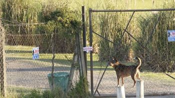 dramatico: le cayo un arco de futbol en la cabeza y lucha por su vida dramatico: le cayo un arco de futbol en la cabeza y lucha por su vida