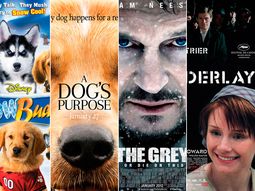 Películas de Hollywood acusadas por maltrato animal Películas de Hollywood acusadas por maltrato animal