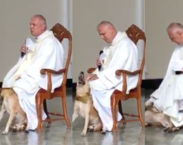 Un perro interrumpió una misa y la reacción del cura conmovió a todos