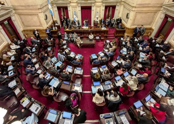 El Senado le dio media sanción al proyecto de ley que limita los DNU presidenciales