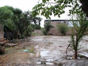 Gentileza: Diario de Cuyo.