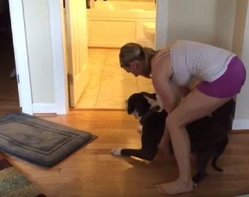 Así tuvo que arrastrar a su perro para bañarlo