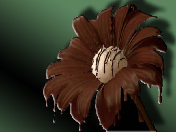 Flor de chocolate