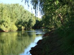 Una nena de 8 años cayó a las aguas del Río Negro. Imagen ilustrativa.