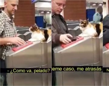 Metrodelegato