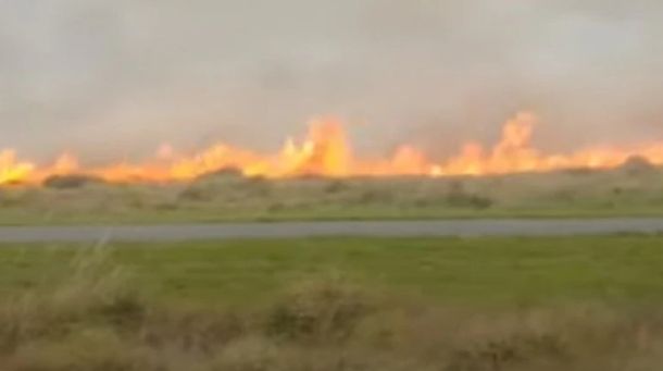 Por los fuertes vientos, un incendio en un campo llegó a la Ruta 11