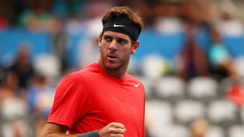 Del Potro venció al esloveno Lacko en Washington Del Potro venció al esloveno Lacko en Washington