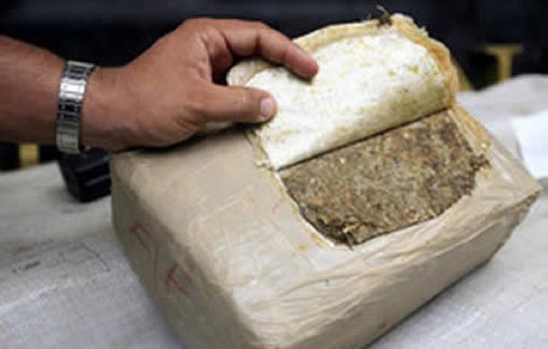 Encontró 52 kilos de marihuana en su patio - Imagen ilustrativa