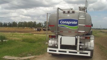 Las exportaciones de Conaprole alcanzaron durante 2023 las 170.000 toneladas. Las exportaciones de Conaprole alcanzaron durante 2023 las 170.000 toneladas.