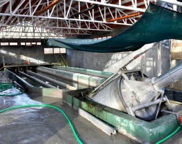 Encontraron un feto en una planta cloacal de Esquel