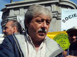 buzzi: es cierto que los exportadores tienen trigo buzzi: es cierto que los exportadores tienen trigo