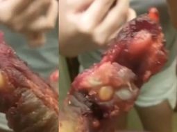 una mujer denuncio que pidio costillitas de cerdo y le trajeron patas de perro una mujer denuncio que pidio costillitas de cerdo y le trajeron patas de perro