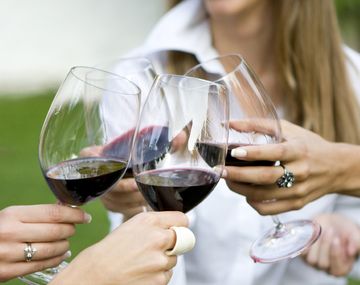 7 cosas sobre el Malbec que no conocías