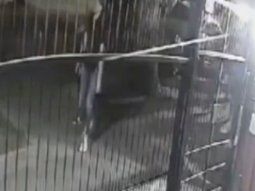 Filtraron el video de la fuga de los 17 presos de una comisaría de Liniers