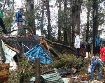 Santa Fe: joven murió aplastado por un árbol