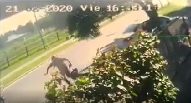 VIDEO: Arrastraron a una abuela por la calle para robarle la jubilación