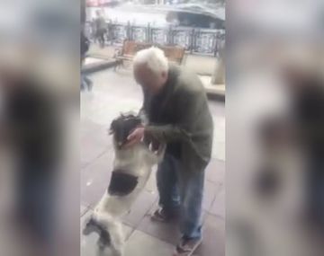 Bereziani extrañaba a Jorge, su perro