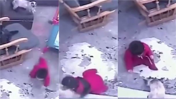 VIDEO: El gato de la familia salvó a un bebé de caerse por las escaleras