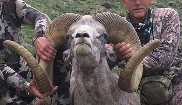 El hombre que mató al león Cecil ahora cazó a un carnero salvaje protegido