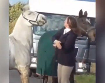 Una maestra fue despedida por maltratar a un caballo