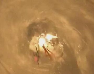 A lo vikingo: quemó a su pez muerto