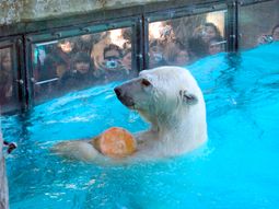 un informe de 2008 advirtio por las condiciones de winner un informe de 2008 advirtio por las condiciones de winner