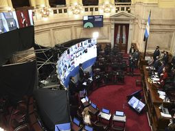 Las tres primeras leyes que aprobó el Senado a distancia en medio de la pandemia de coronavirus