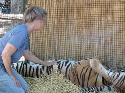 Impulsan la reconversión del Zoo Luján tras los reiterados pedidos de cierre
