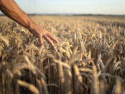 El Instituto Nacional de Estadística (INE) actualizará el próximo jueves 1 de diciembre la base del Índice de Precios del Consumo (IPC). El Instituto Nacional de Estadística (INE) actualizará el próximo jueves 1 de diciembre la base del Índice de Precios del Consumo (IPC).