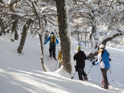 Hay tiempo para toda clase de actividades en la nieve