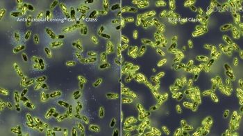 presentan un celular que protegera de las bacterias presentan un celular que protegera de las bacterias