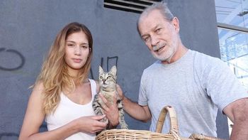 La gatita que quisieron abandonar encontró hogar La gatita que quisieron abandonar encontró hogar