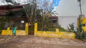 El insólito episodio ocurrió en una propiedad ubicada en 473 bis y 14 B. Foto: El Día.