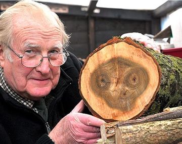 E tree