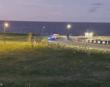 Alerta en zona de Aeroparque por la presencia de un puma