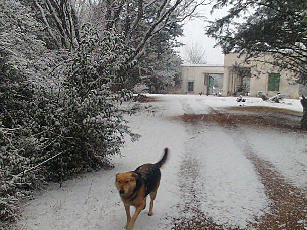 Intensas nevadas en la zona de los incendios