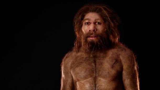 Los neandertales desaparecieron de Europa 20 mil años antes de lo que se creía