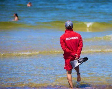 Punta del Este: argentino golpeó a un guardavidas que había rescatado a su hijo