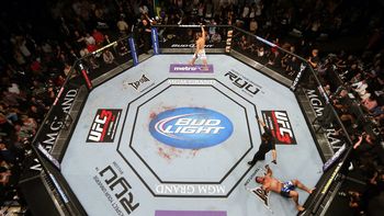 Créditos INK PR / UFC Créditos INK PR / UFC