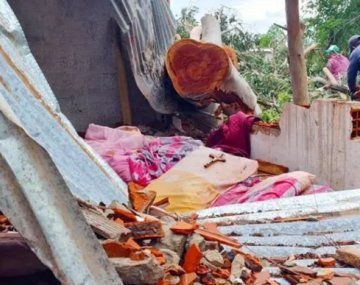 Una joven de 19 años murió aplastada por un árbol en medio de una tormenta