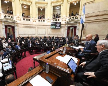 Foto: X @SenadoArgentina